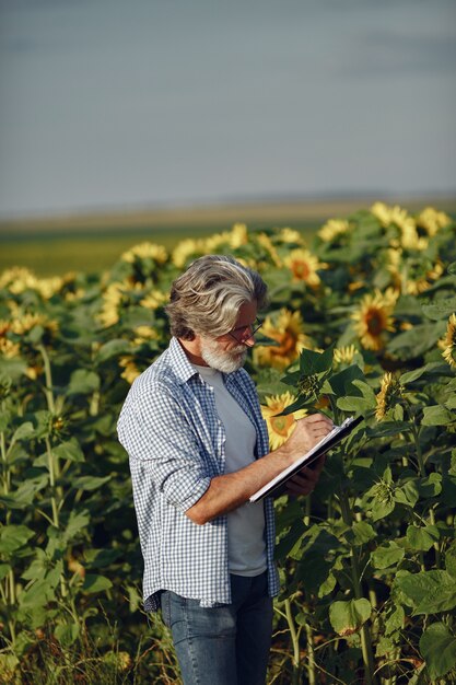 Farmer examina el campo. Agrónomo o agricultor examina el crecimiento del trigo.