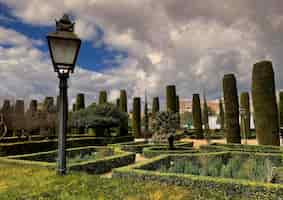 Foto gratuita una farola en un parque con árboles al fondo