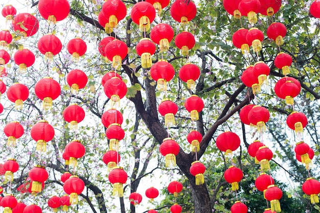 Faroles rojos en un día despejado