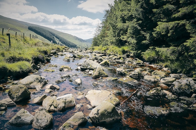 Fascinante paisaje de un arroyo de la montaña Wicklow