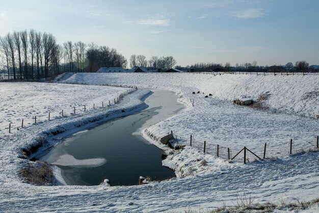 Fascinante paisaje invernal cubierto de nieve esponjosa en los Países Bajos