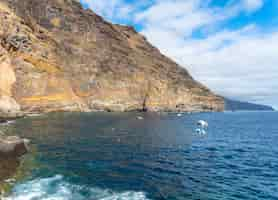 Foto gratuita fascinante vista del hermoso paisaje marino en puerto de puntagorda, islas canarias, españa