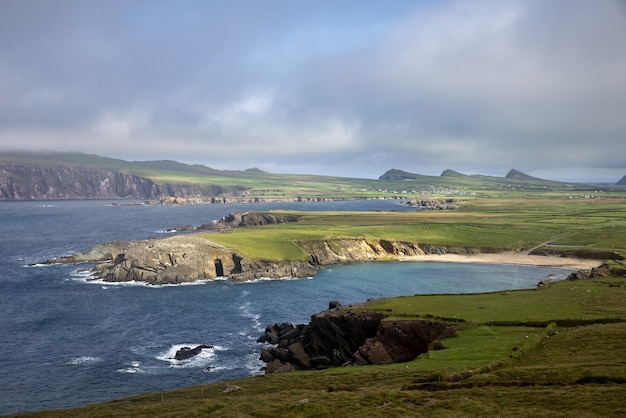 Fascinante vista del hermoso paisaje marino rodeado de vegetación