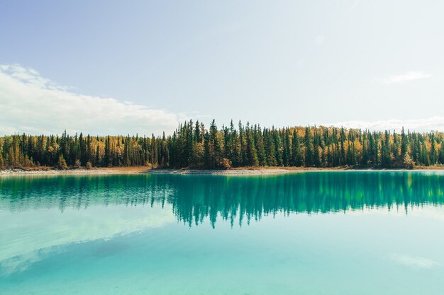 Fascinante vista del lago con reflejo de los abetos, las montañas y el cielo nublado