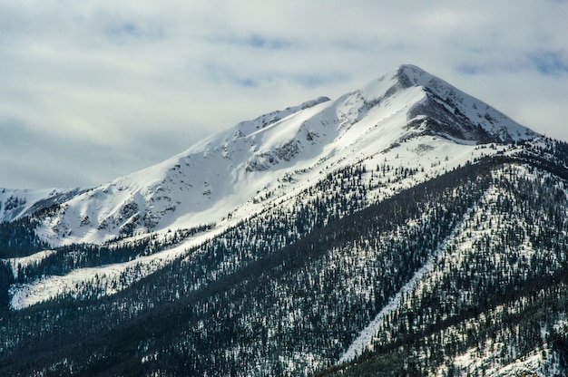 Fascinante vista de las montañas bajo el cielo azul cubierto de nieve