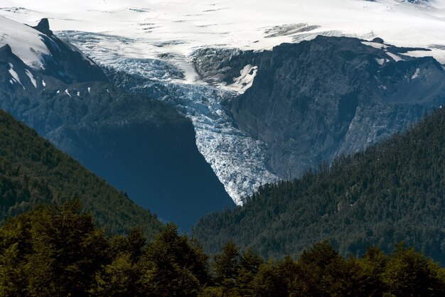 Fascinante vista de las montañas cubiertas de árboles y nieve, perfecta para el fondo