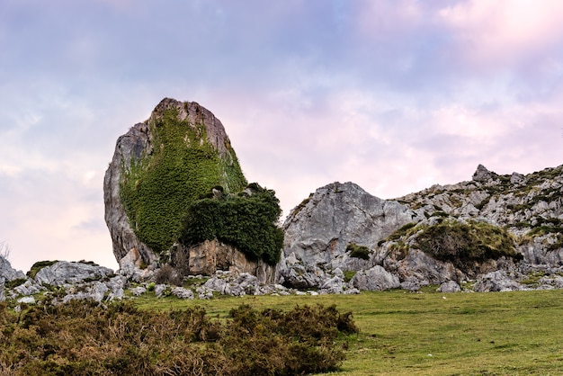 Fascinante vista de las montañas rocosas cubiertas de verde en el campo en un día nublado