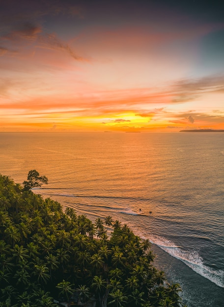 Fascinante vista del océano tranquilo y los árboles en la orilla durante la puesta de sol en Indonesia