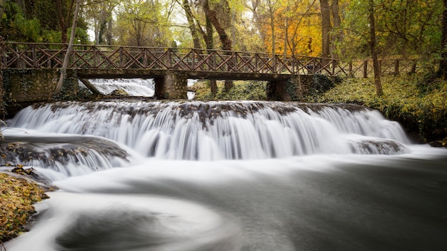 Foto gratuita fascinante vista de un puente sobre la hermosa cascada en medio de un bosque