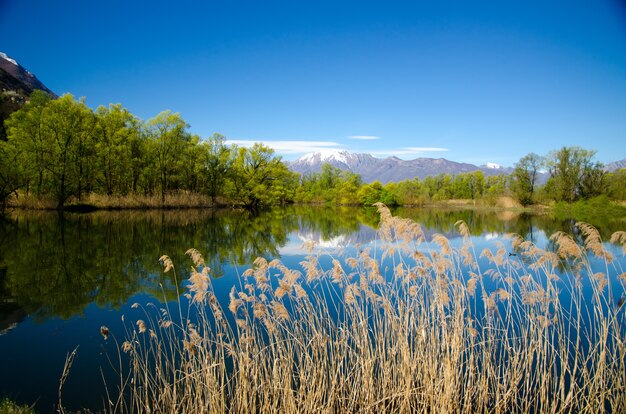 Fascinante vista del reflejo de los árboles y el cielo en el agua con una montaña