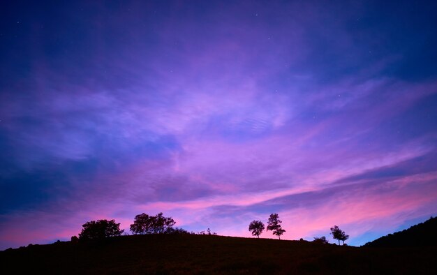 Fascinante vista de siluetas de árboles bajo el cielo del atardecer