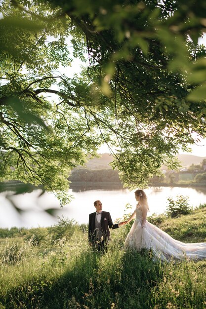 Felices novias están caminando por el campo