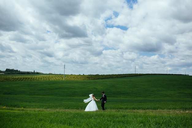 Felices recién casados en el prado