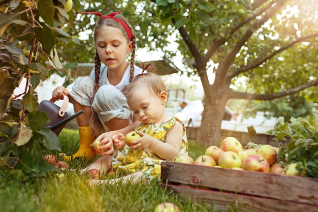 El feliz bebé girland joven durante la recolección de manzanas en un jardín al aire libre