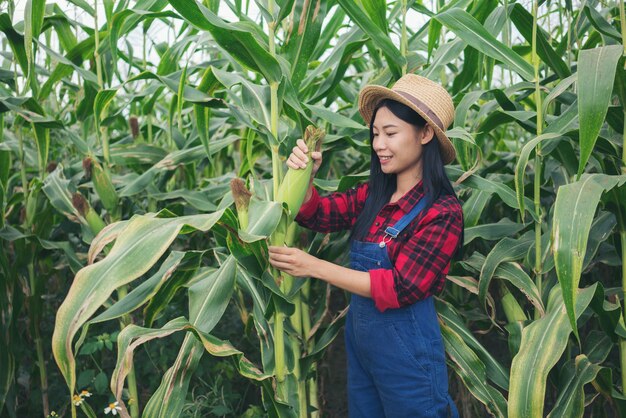 Feliz granjero en el campo de maíz