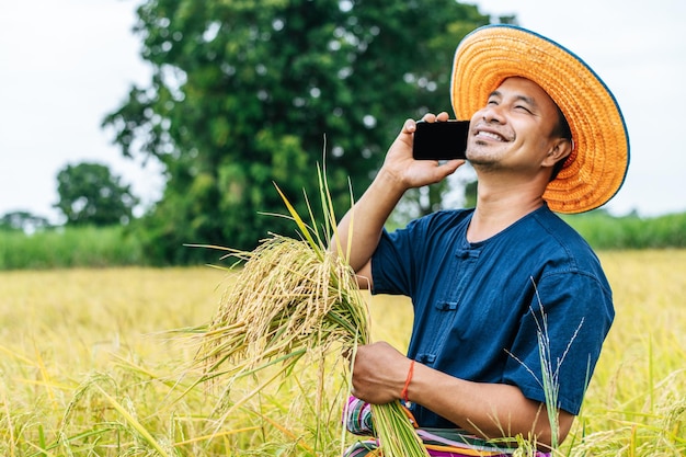 Feliz joven agricultor cosecha arroz en el campo y hablando con el teléfono inteligente