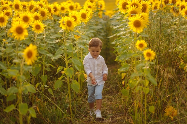 Feliz joven familia, madre, padre e hijo, sonríe, abraza y abraza en el campo de girasol