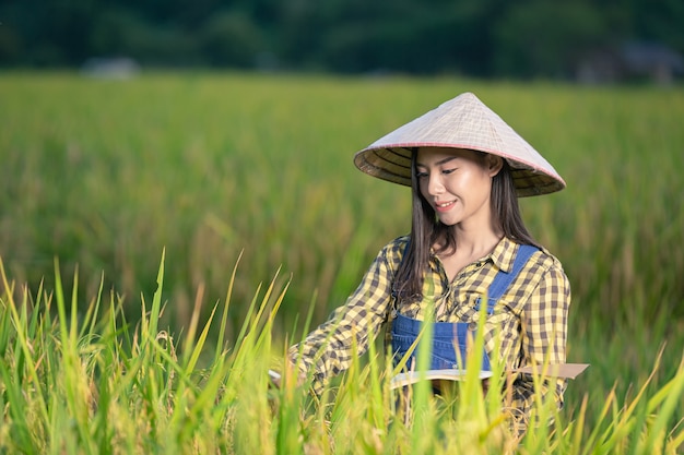 Feliz mujer asiática escribir notas en campos de arroz