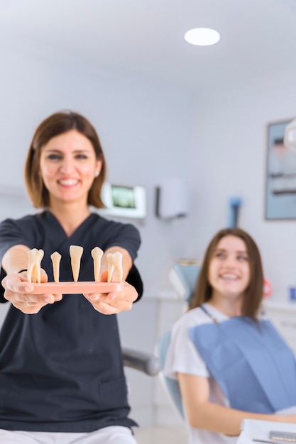 Feliz mujer dentista mostrando diferentes tipos de modelo de dientes en clínica dental