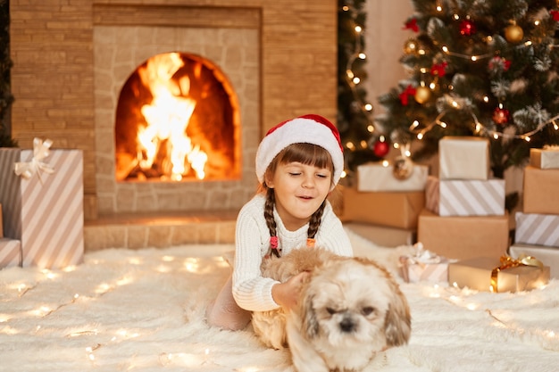 Feliz niña satisfecha con suéter blanco y sombrero de santa claus, jugando con el perro pequinés, sentado en el piso cerca del árbol de Navidad, cajas presentes y chimenea.