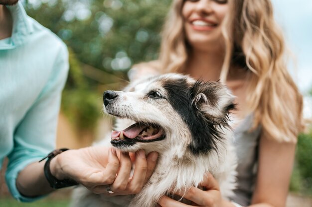 Feliz pareja de chicos jugando con su perro en el patio trasero sobre la hierba. Perro viejo alegre