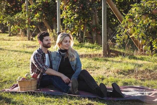 Feliz pareja juntos sentados sobre una manta en huerto de manzanas
