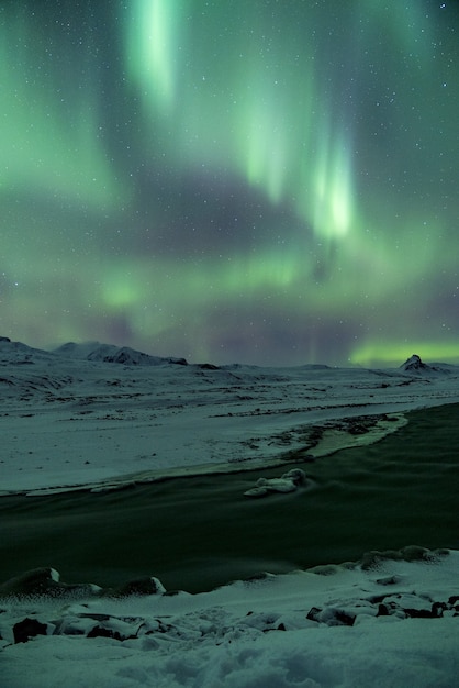 Foto gratuita fenómeno de la aurora verde