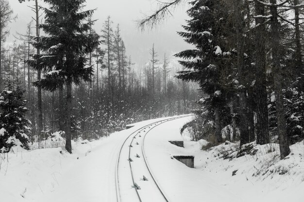 Ferrocarril en bosque de invierno