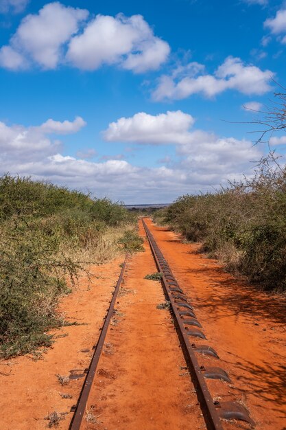 Ferrocarril rodeado de árboles bajo el cielo azul en Tsavo West, Taita Hills, Kenia