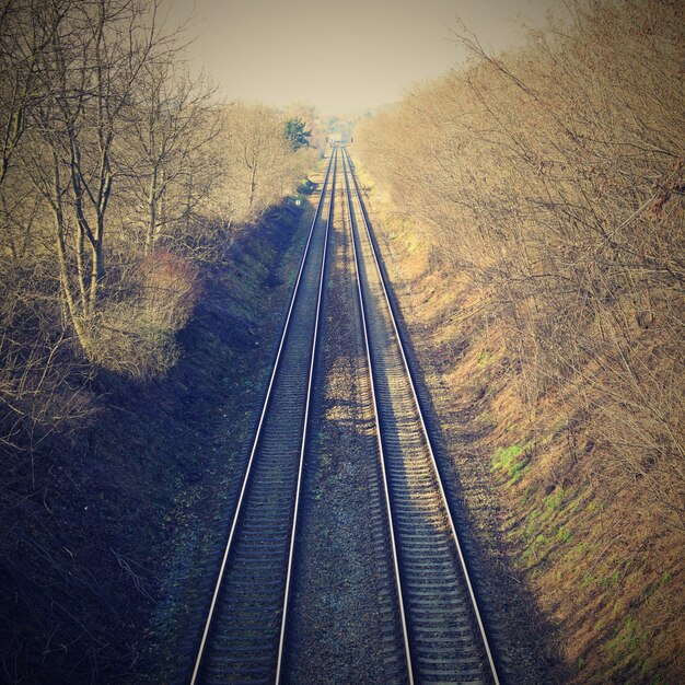 &quot;Ferrocarriles en lugar rural&quot;