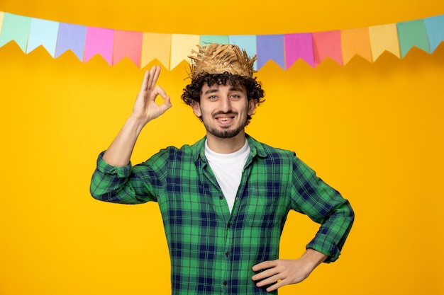 Foto gratuita festa junina chico lindo joven en sombrero de paja y banderas coloridas festival brasileño mostrando gesto ok