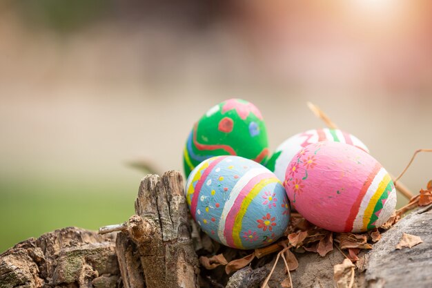 Fiesta del huevo de pascua.