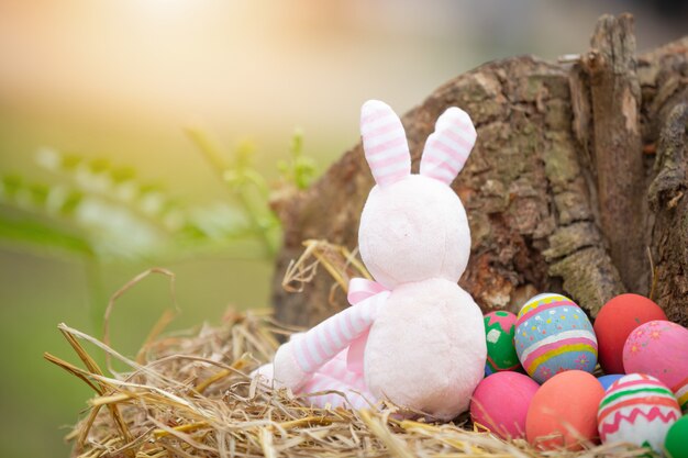 Fiesta del huevo de pascua.