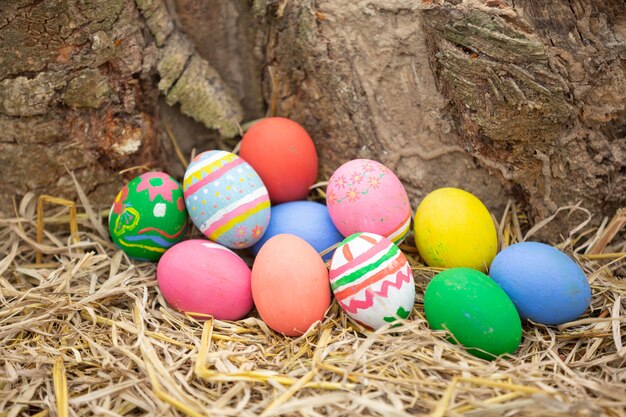 Fiesta del huevo de pascua.