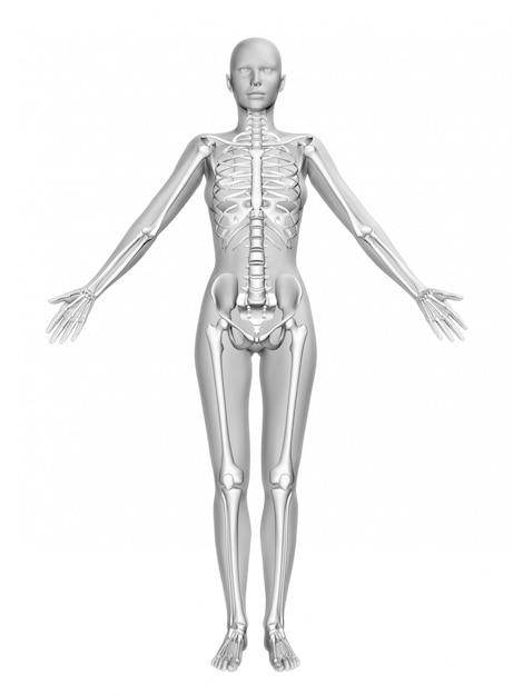 Figura femenina 3D con piel lisa y esqueleto.