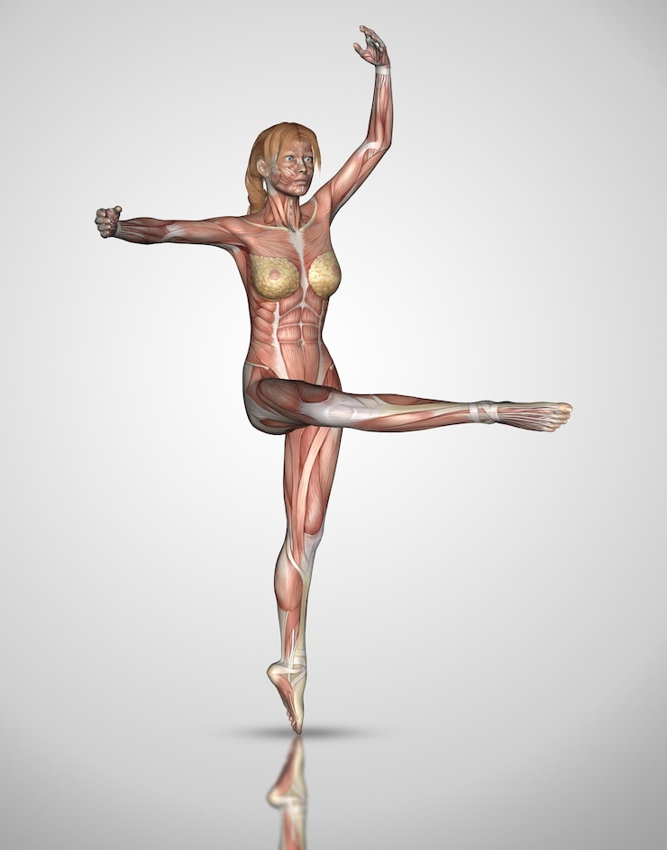 Foto gratuito figura femenina 3d en pose de ballet con los músculos resaltados