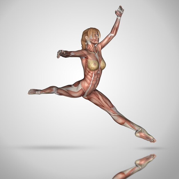 Figura femenina 3D en pose de ballet con texturas de mapa muscular