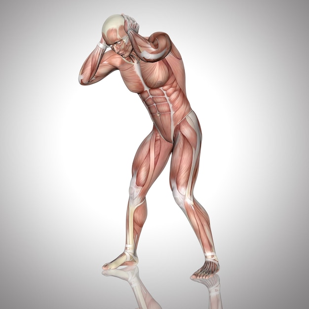 Foto gratuita figura masculina 3d con mapa muscular sosteniendo la cabeza con dolor