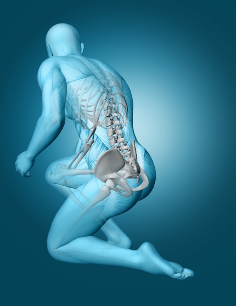 Foto gratuita figura médica masculina 3d con la columna vertebral destacada