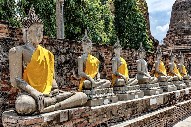 Fila de antiguas estatuas de Buda cubiertas con tela amarilla