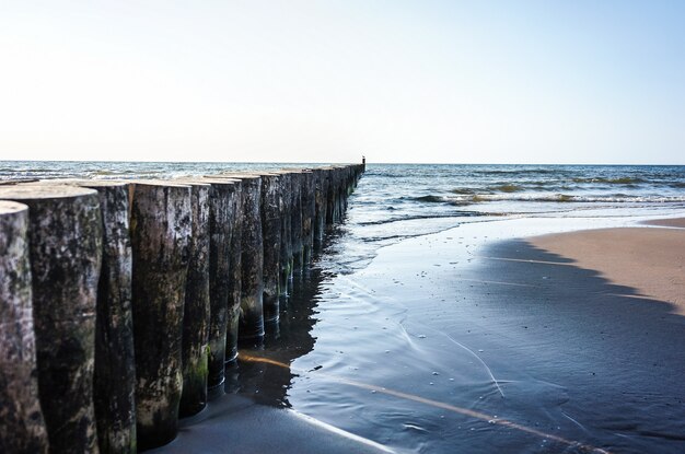 Fila de troncos de madera en la playa de Sianozety, Polonia