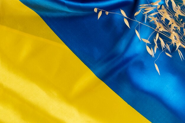 Flat lay bandera ucraniana y bodegón de granos