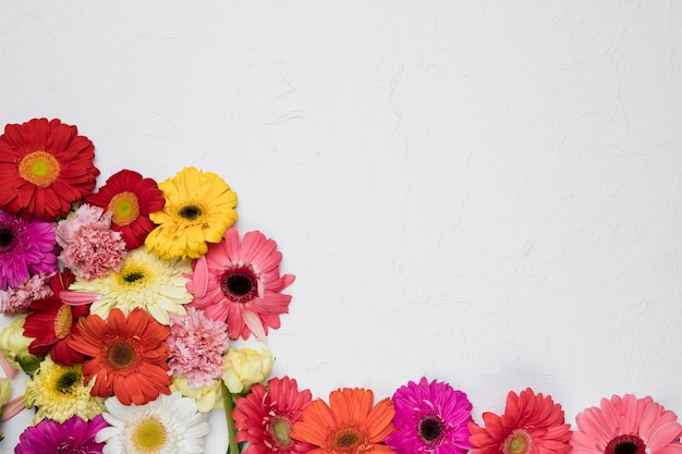 Foto gratuita flat lay de flores con copyspace