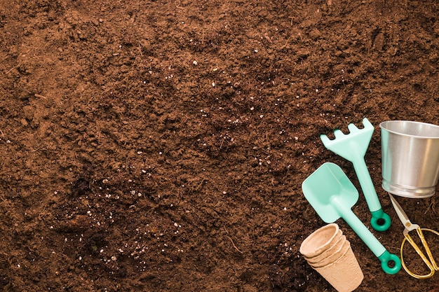 Flat lay de herramientas de jardinería con copyspace