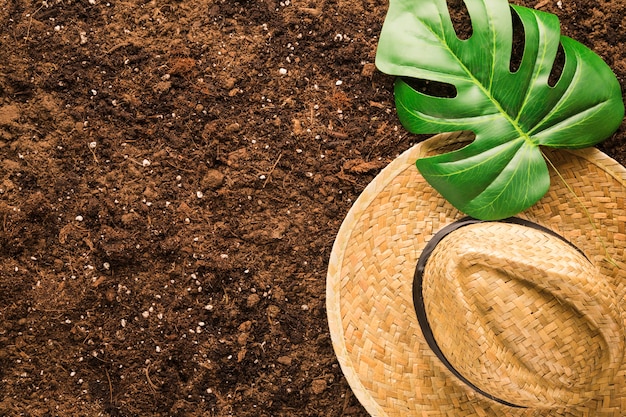 Foto gratuita flat lay de hoja tropical y hoja en tierra