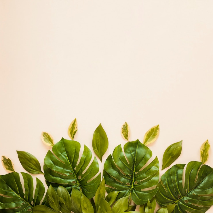 Foto gratuito flat lay de hojas con copyspace