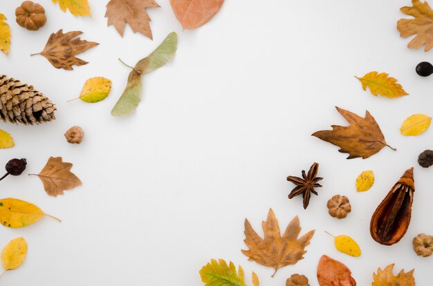 Flat lay hojas de otoño con copy space