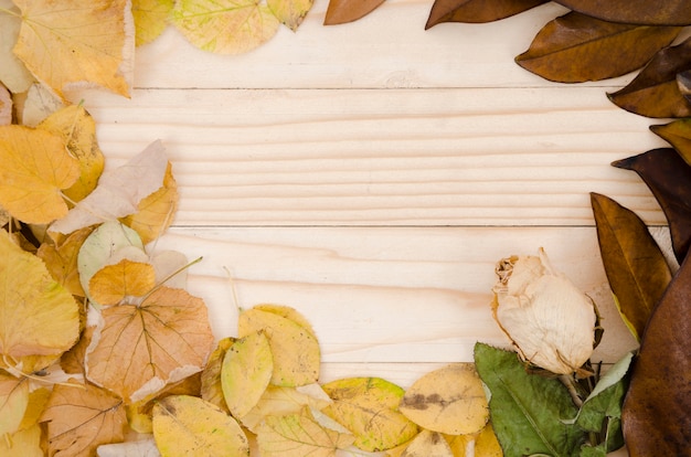 Foto gratuita flat lay hojas de otoño con copy space