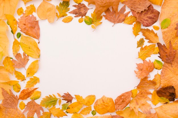 Flat lay hojas de otoño con copy space