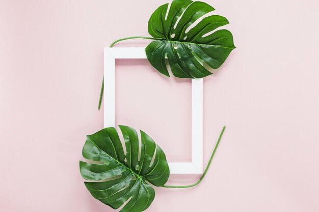 Flat lay de hojas tropicales con copyspace